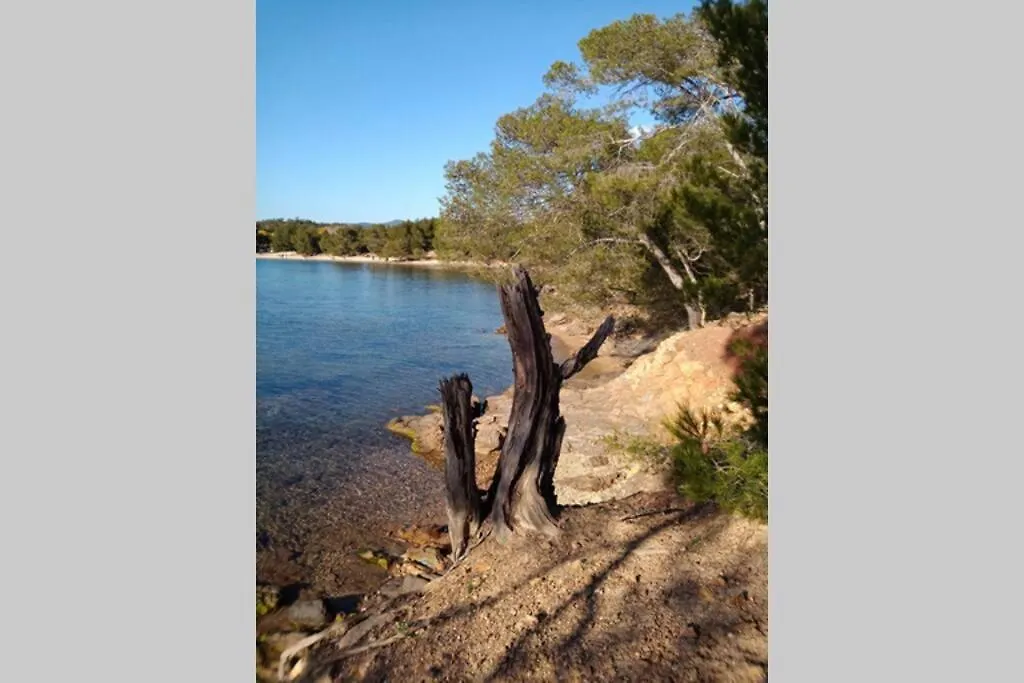 Face Mer Entre Plage Et Marina Bormes-les-Mimosas
