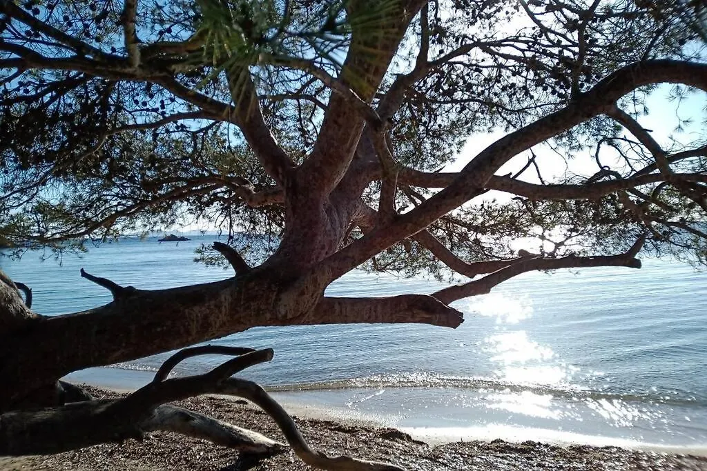 Face Mer Entre Plage Et Marina Bormes-les-Mimosas